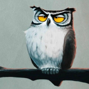 Grumpy Owl Diamond Painting Kit