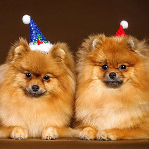 Happy Dogs on Christmas Diamond Painting