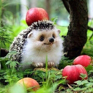 Hedgehog Painting Kit