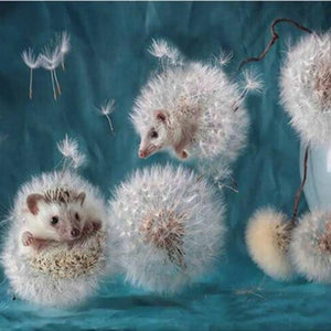 Hedgehog Diamond Painting Kit