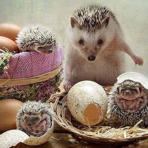 Hedgehog Full Drill Painting Kit