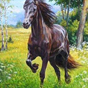 Horse Running Paint by Diamonds