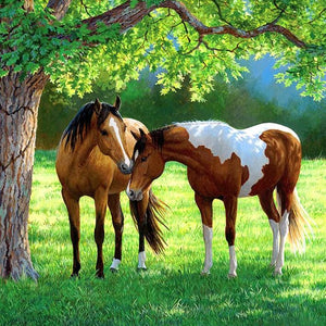 Horses Pair Under the Tree Diamond Painting