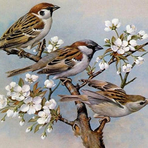 House Sparrows Paint by Diamonds