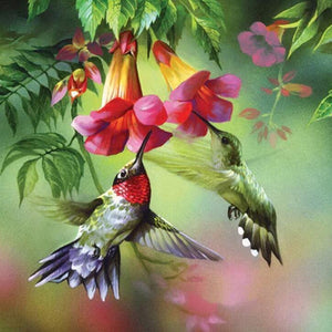 Humming Birds Painting Kit