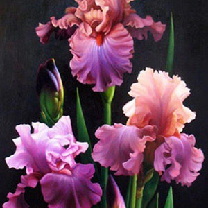 Floral PAinting Kit