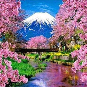 Cherry Blossoms Spring Paint by Diamonds