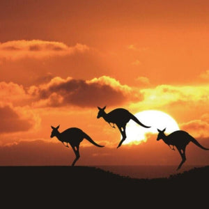 Kangaroo Diamond Painting