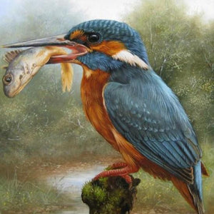 Kingfisher Eating Fish Diamond Painting