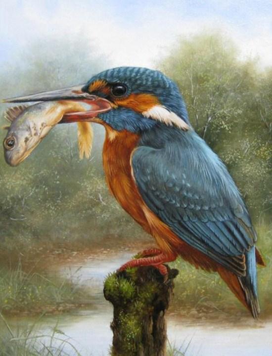 Kingfisher Eating Fish - Paint by Diamonds - Diamond Painting