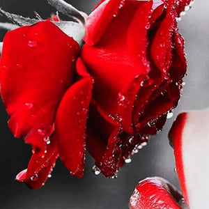 Kissing a Rose Diamond Painting Kit