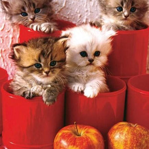 Kittens & Apples Paint by Diamonds