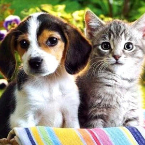Kitty & Puppy Paint by Diamonds