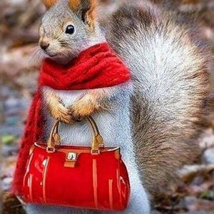 Lady Squirrel Paint by Diamonds