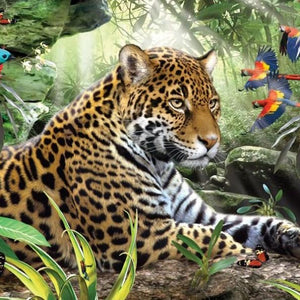 Leopard & African Parrots Diamond Painting