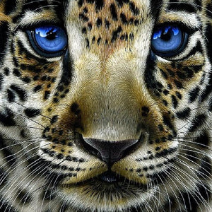 Leopard Cub with Blue Eyes Diamond Painting