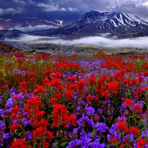 Lightning Over Mount St. Helen's Diamond Painting
