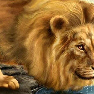 Lion Drinking Water Paint by Diamonds