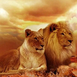 Lion Pair in the Desert Paint by Diamonds