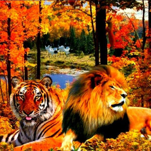 Lion & Tiger in the Forest Diamond Painting