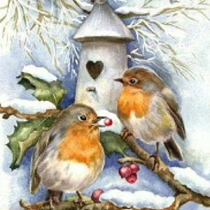 Little House of Snow Birds Diamond Painting