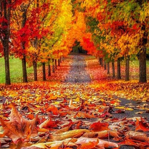 Lovely Autumn Diamond Painting Kit