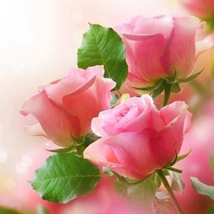 Lovely Pink Roses Paint by Diamonds