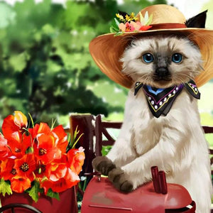 Miss Kitty Wearing Hat Paint by Diamonds