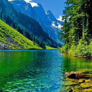 Nature DIY Diamond Painting