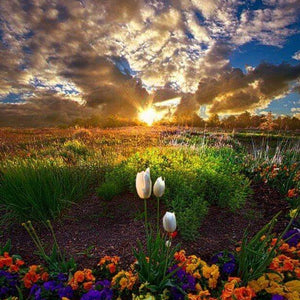 Landscape Paint by Diamonds