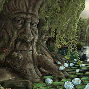 Old Man Willow Paint by Diamonds