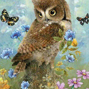 Owl Painting Kit