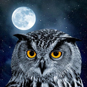 Owl & Full Moon Night Diamond Painting Kit