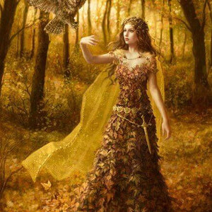 Owl Lady Paint by Diamonds