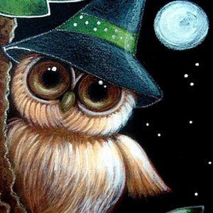 Owl Wearing Hat at Night Diamond Painting