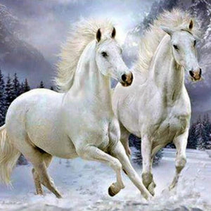 Pair of White Horses Paint by Diamonds