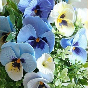 Pansy Flowers Paint by Diamonds