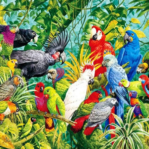 Parrots Kingdom Paint by Diamonds