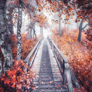 Forest DIY Diamond Painting Kit