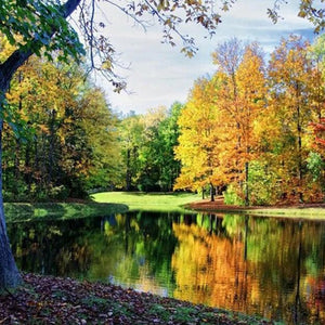 Peaceful View Paint by Diamonds