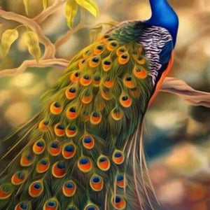 Peacock DIY Diamond Painting Kit