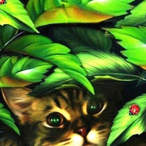 Peeping Cat Paint by Diamonds