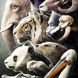 Animals Paint by Diamonds
