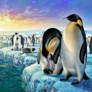 Penguins Paint by Diamonds