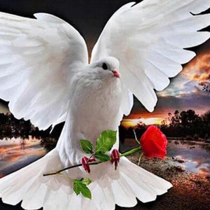 Pigeon Diamond Painting Kit