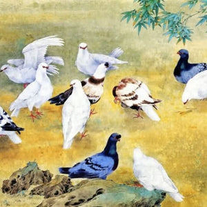 Pigeons Paint by Diamonds