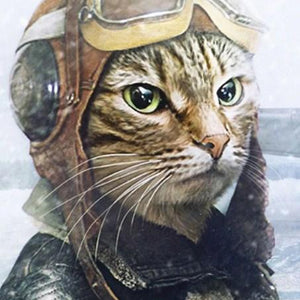 Pilot Cat Paint by Diamonds