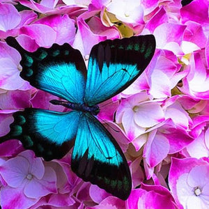 Pink Flowers & Blue Butterfly Paint by Diamonds