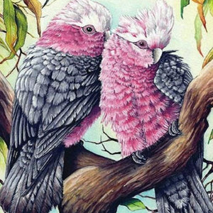 Pink & Grey Cockatoos Pair Diamond Painting