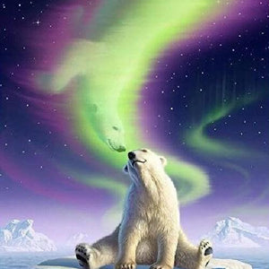  Bear Aurora Fantasy Diamond Painting